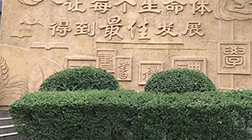 【景觀雕塑廠家】制作，多少錢，價格